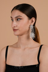 Floral Embellished Earrings2915 video